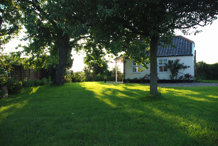 Garden view