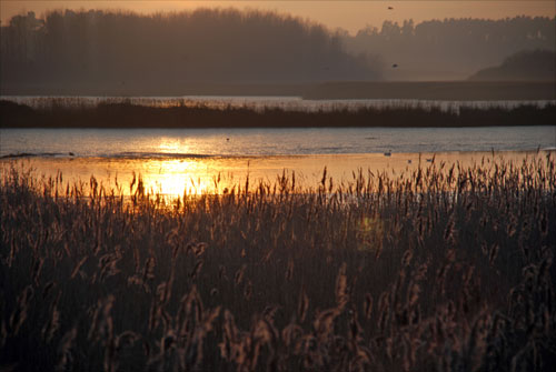 River Alde